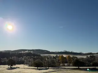 hästar Hopptalang med stam utöver det vanliga sökes - Annons 12