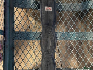 Sadeltillbehör hästutrustning till salu: Dressyrgjord 60cm i Piteå - Annons 19