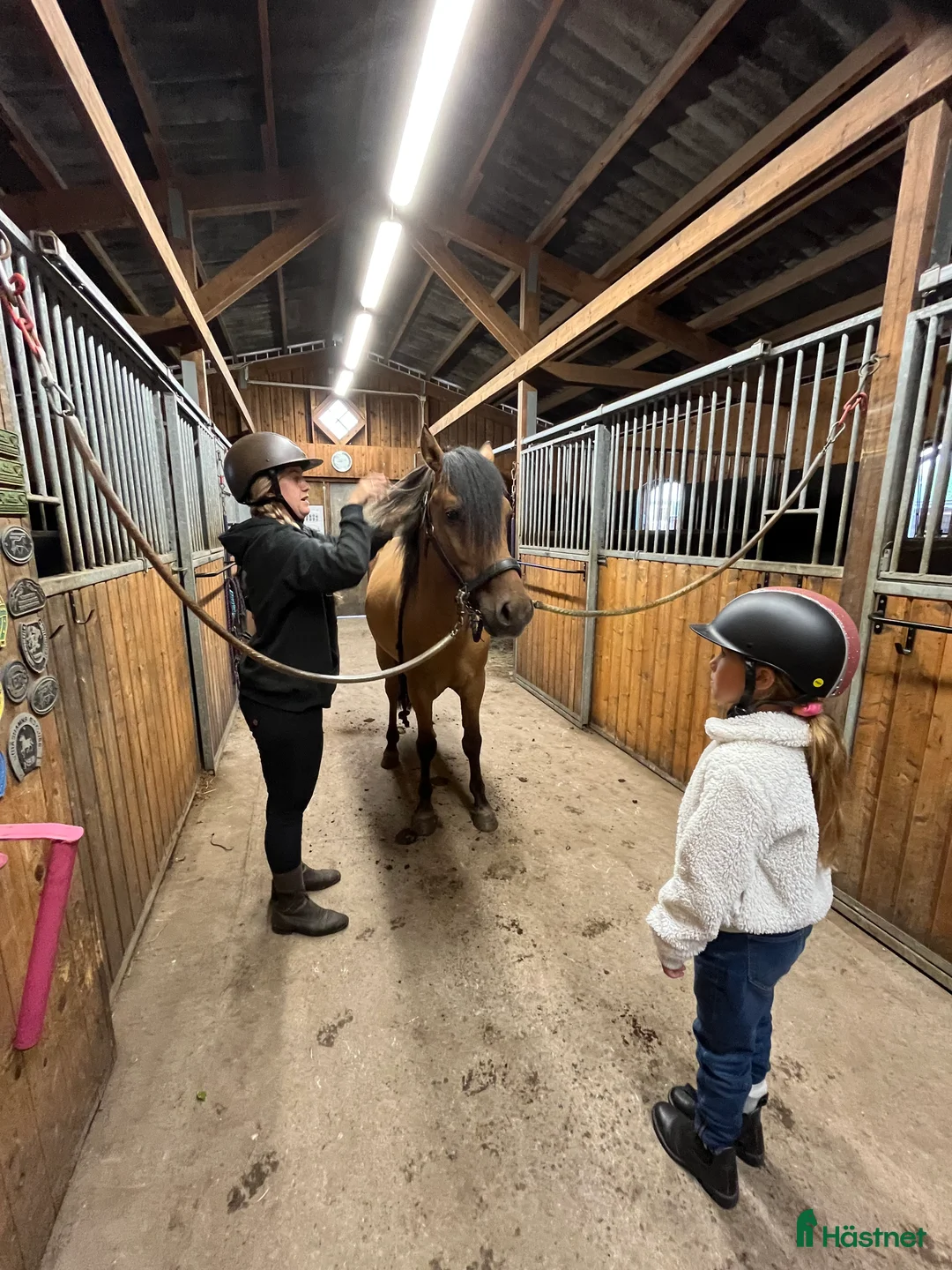  stallplats finnes: Boxplats för ponny. Gångavstånd från pendeltåg. - Annons 2