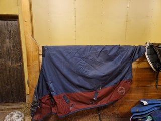 Täcken hästutrustning till salu: Vintertäcke med hals i Sollefteå - Annons 6