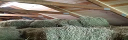  stallplats finnes: Lång utevistelse och ridhus i Sollentuna - Annons 14
