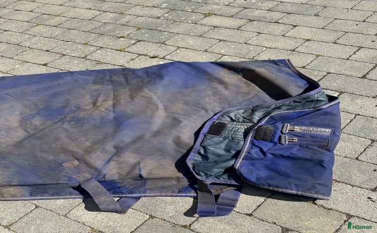 Täcken hästutrustning till salu i Skara - Annons 14