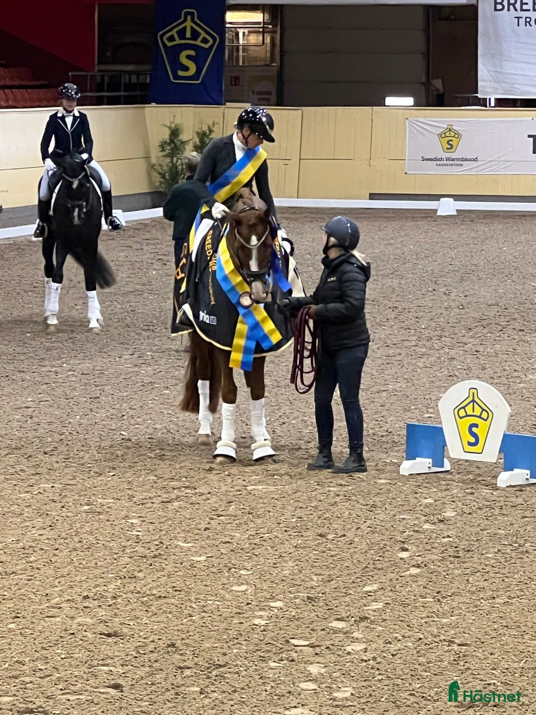  hästjobb finnes: Helgjobb på ett professionellt  dressyrstall i Ekolsund - Annons 2