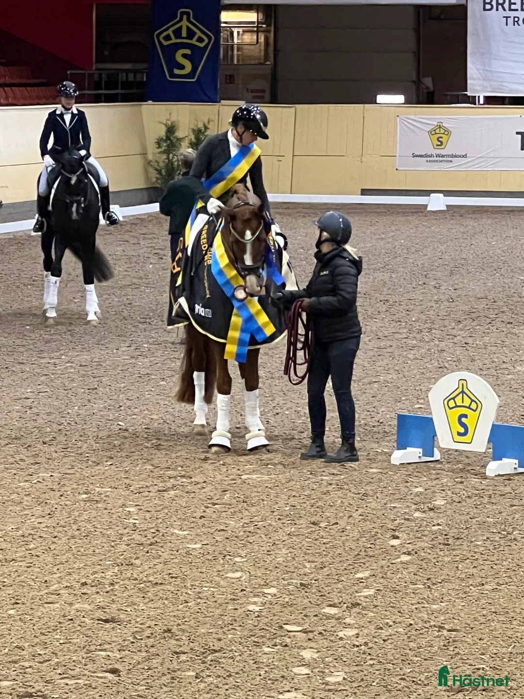  hästjobb finnes: Helgjobb på ett professionellt  dressyrstall i Ekolsund - Annons 2