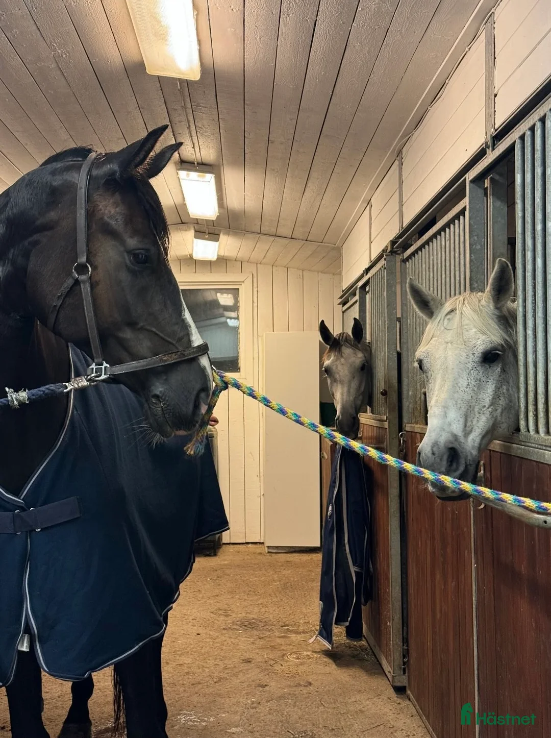  stallplats finnes: Stallplats Norra Sorunda  - Annons 5