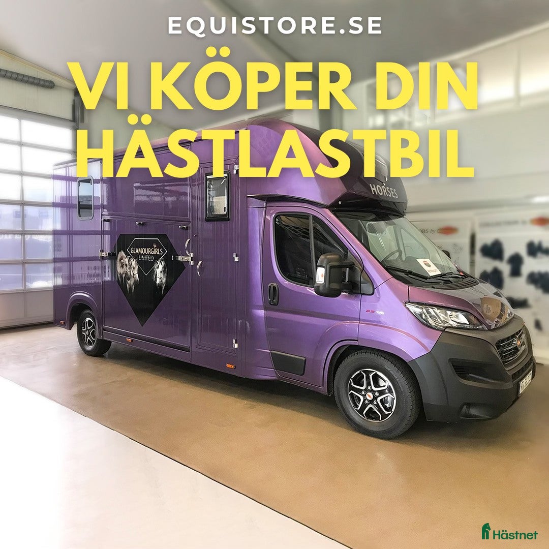 Hästlastbilar  fordon & transport till salu: Köpes - Annons 6