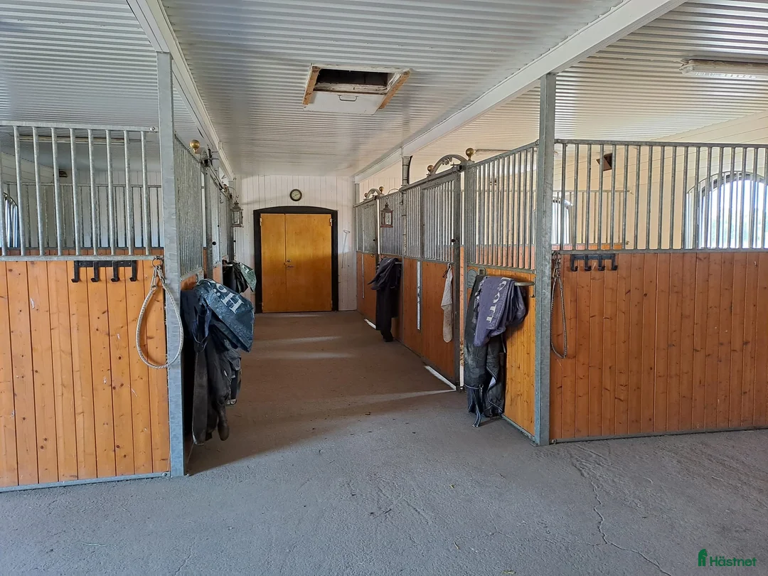  stallplats finnes: Lediga Stallplatser Önsta Stallet i Bro - Annons 6