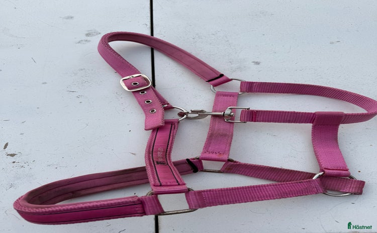 Övrig Hästutrustning hästutrustning till salu i Linköping - Annons 15