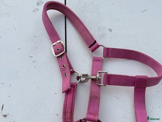 Övrig Hästutrustning hästutrustning till salu: Sadelkammarrensning- Sadelgjord- Grimma i Linköping - Annons 4