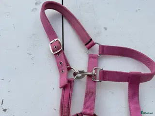 Övrig Hästutrustning hästutrustning Sadelkammarrensning- Sadelgjord- Grimma i Linköping - Annons 18