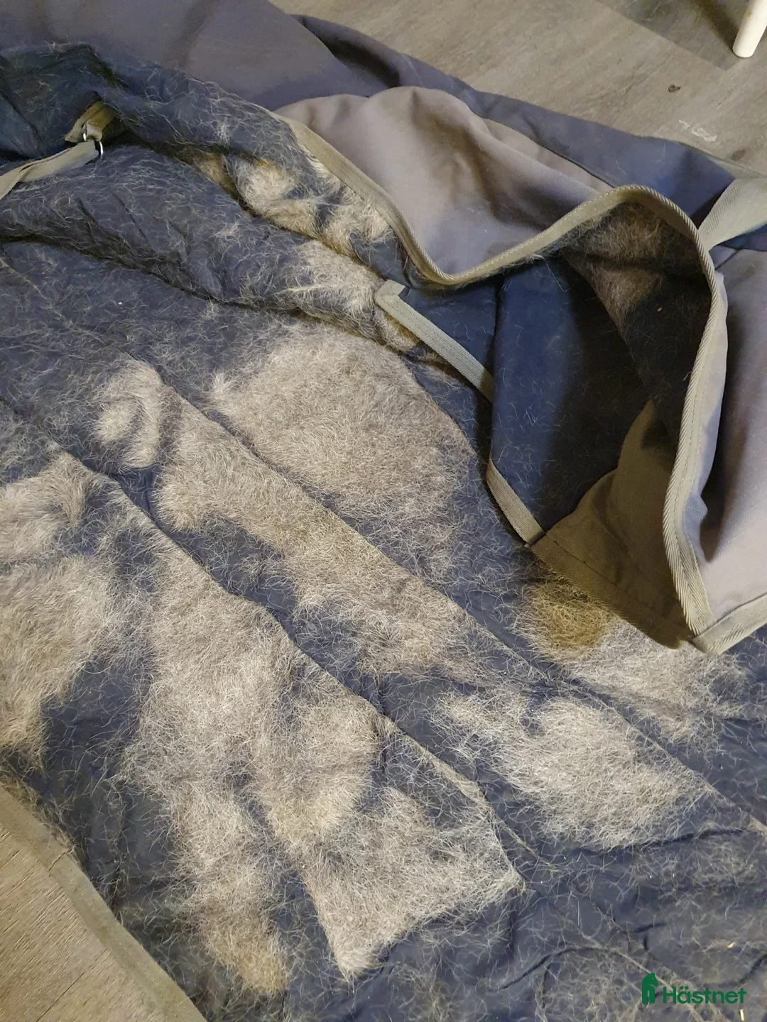 Täcken hästutrustning till salu: Begagnat vintertäcke  i Herrljunga - Annons 5