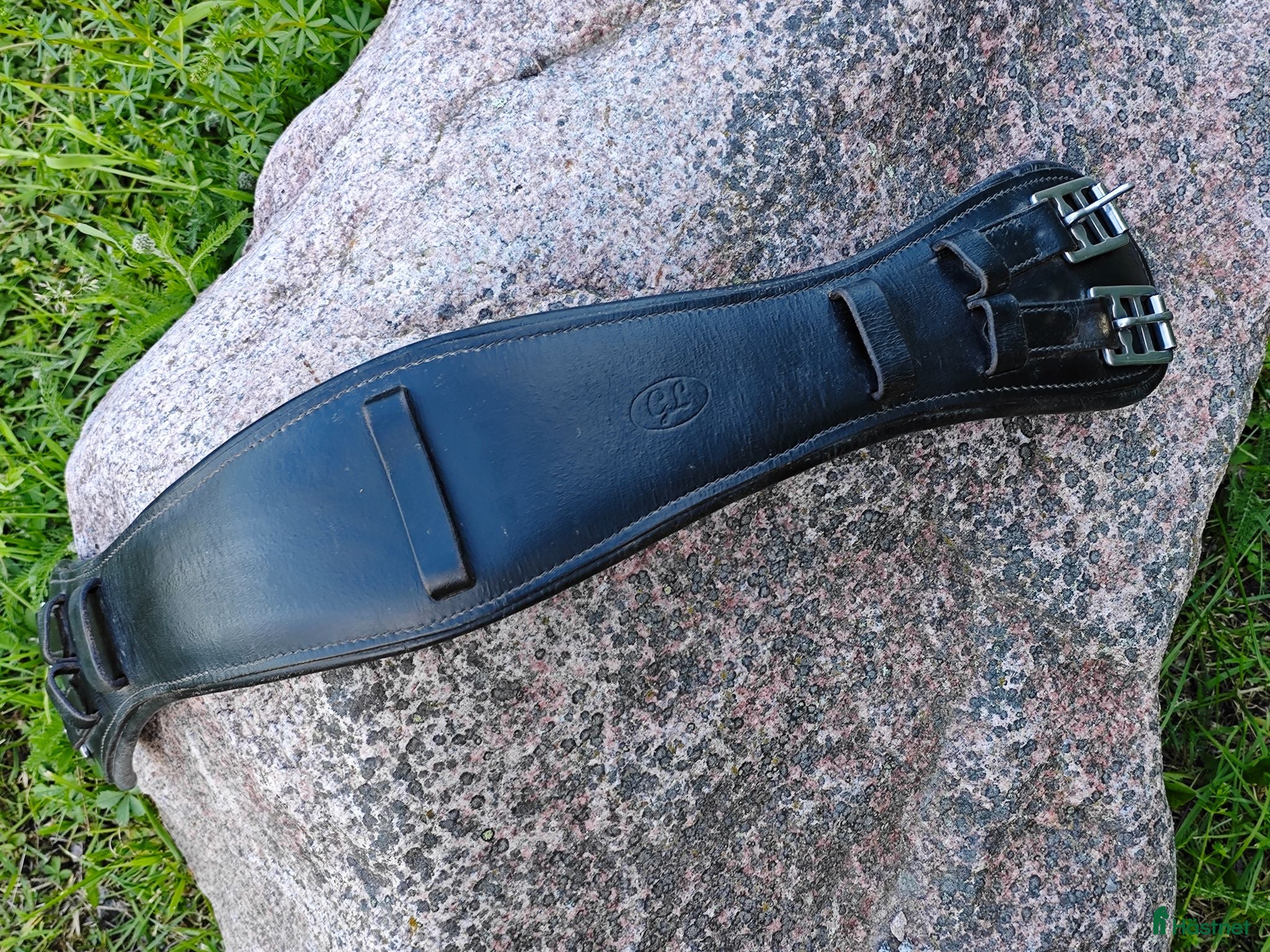 Sadeltillbehör hästutrustning Svart dressyrgjord i läder - Annons 1