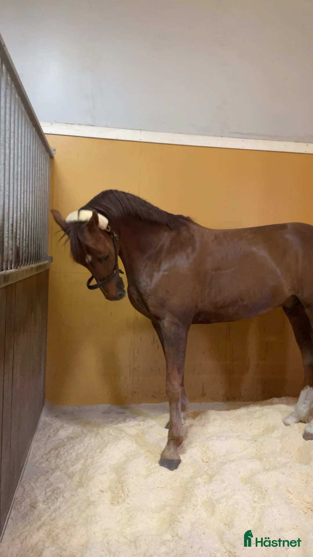  stallplats finnes: Privat Stallplats på Lantbruk  - Annons 2