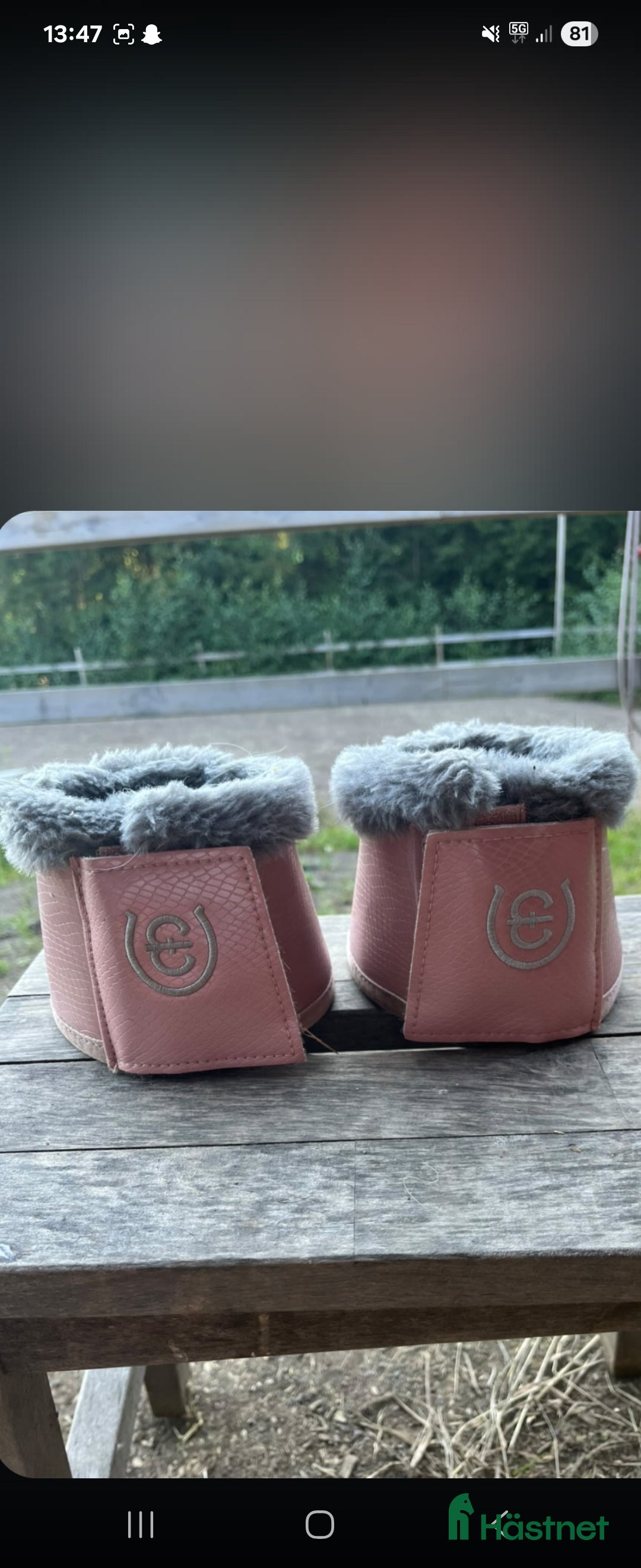 Benskydd hästutrustning till salu: Set från ES (equestrian stockholm) i Sunne - Annons 1