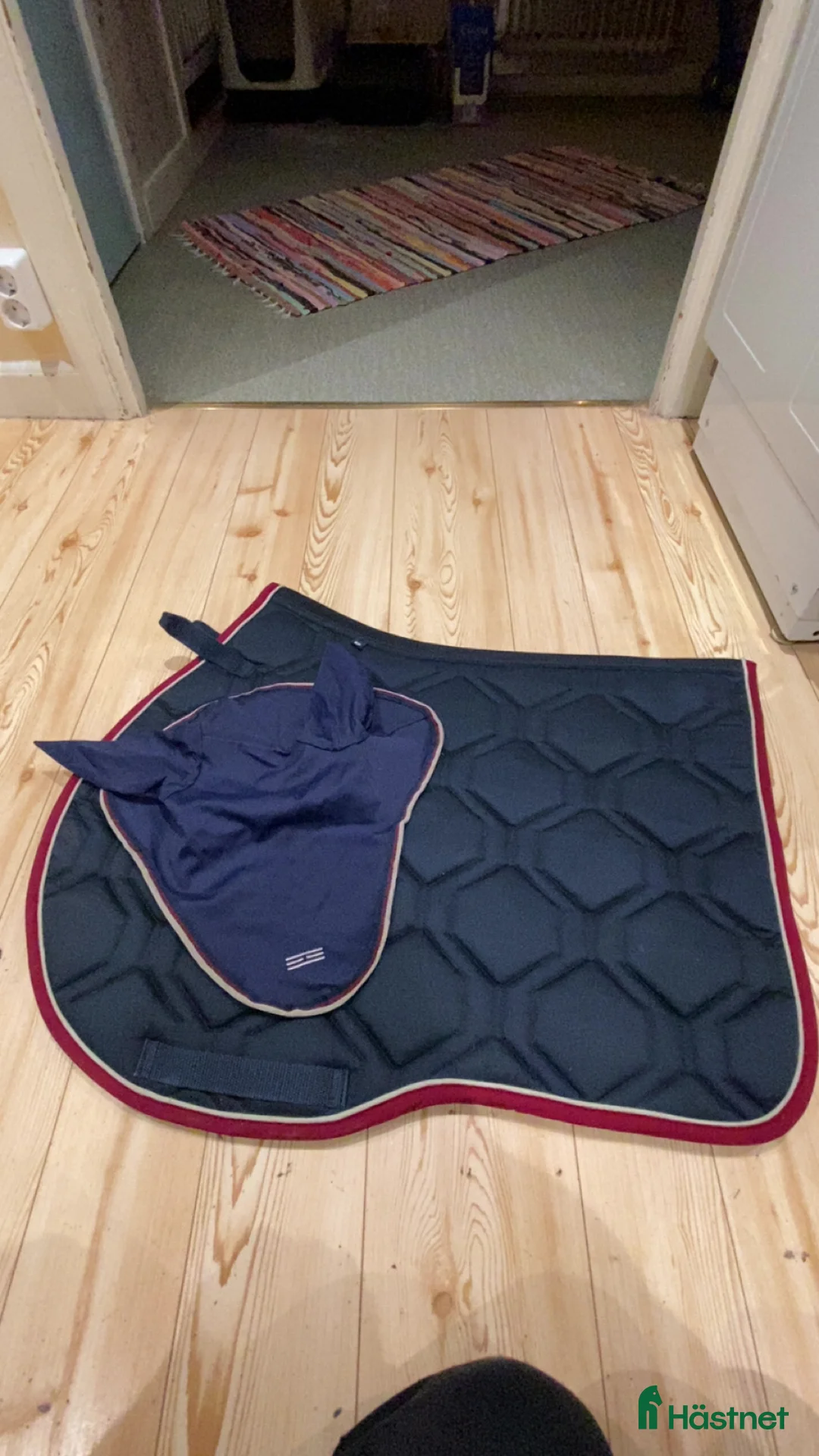 Schabrak & Vojlockar hästutrustning till salu: Helt nytt sett - Annons 1