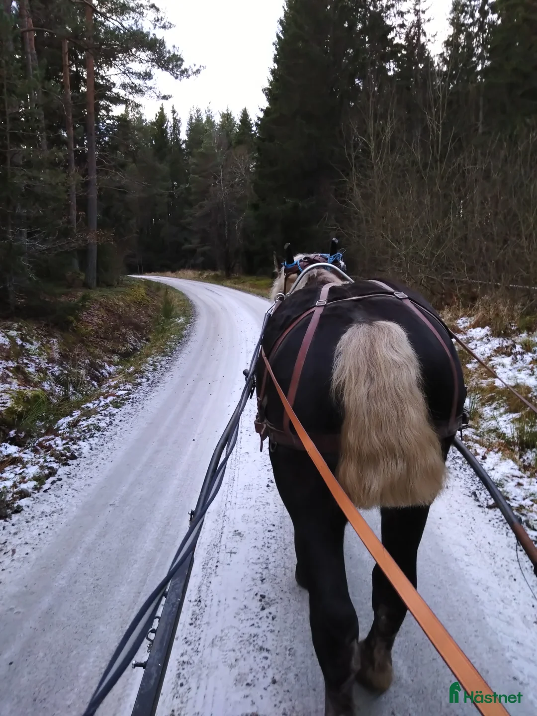 Galleribild {{count}}