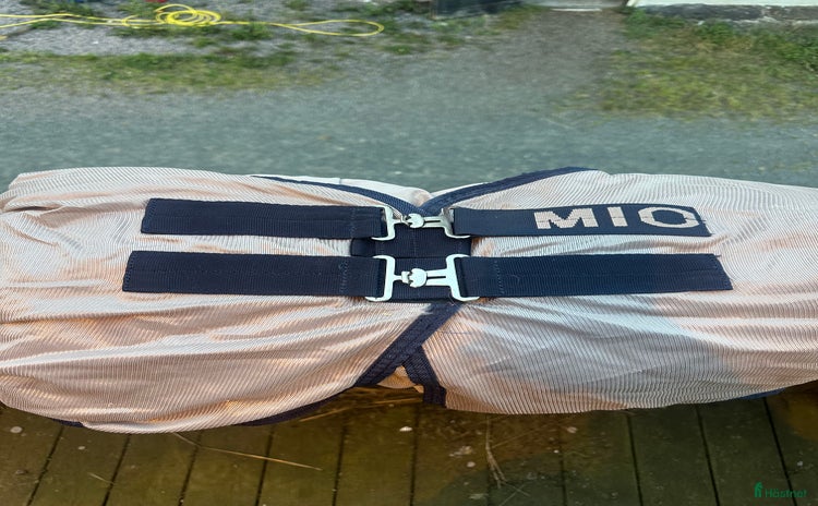 Täcken hästutrustning till salu i Forserum - Annons 6