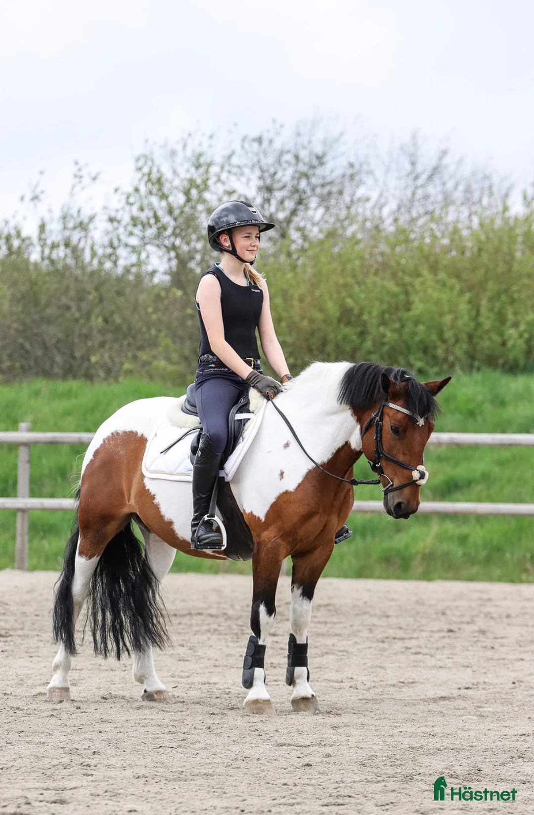 Hoppning hästar till salu: Super C-ponni lånes ut til satsende sprangrytter! - Annons 6