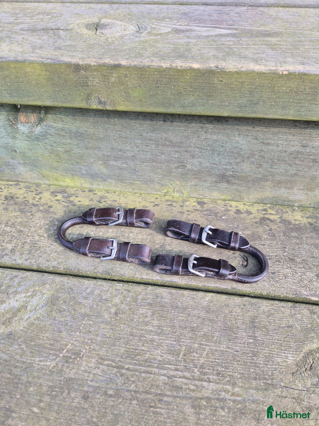 Övrig Hästutrustning hästutrustning till salu: Deltor i Dingle - Annons 1