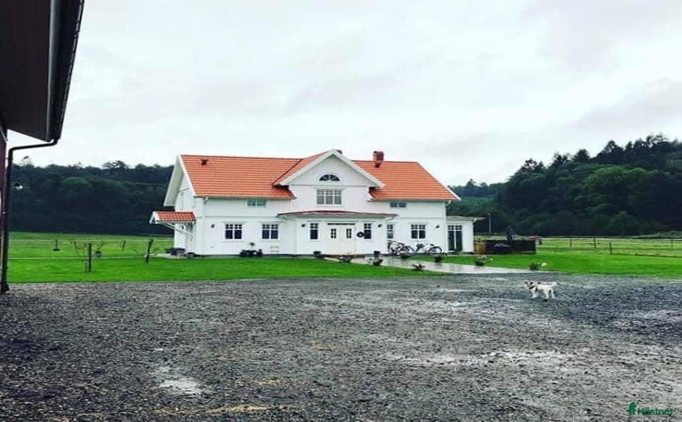  stallplats i Kungsbacka - Annons 10