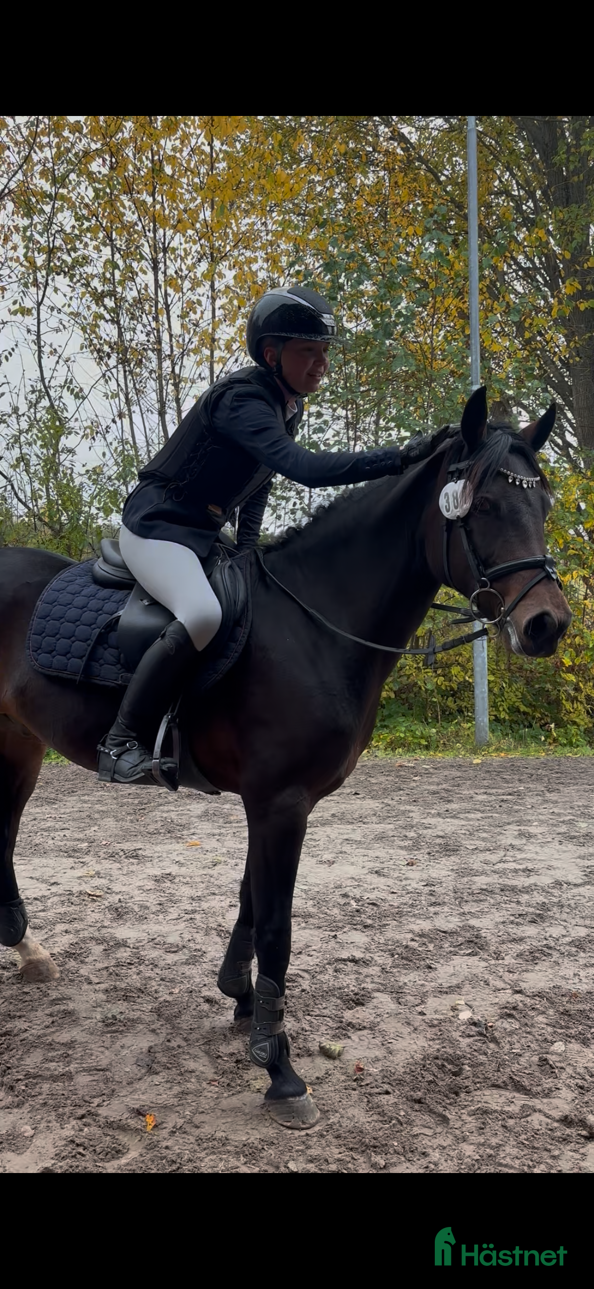  hästar Sportig C-ponny - Annons 2