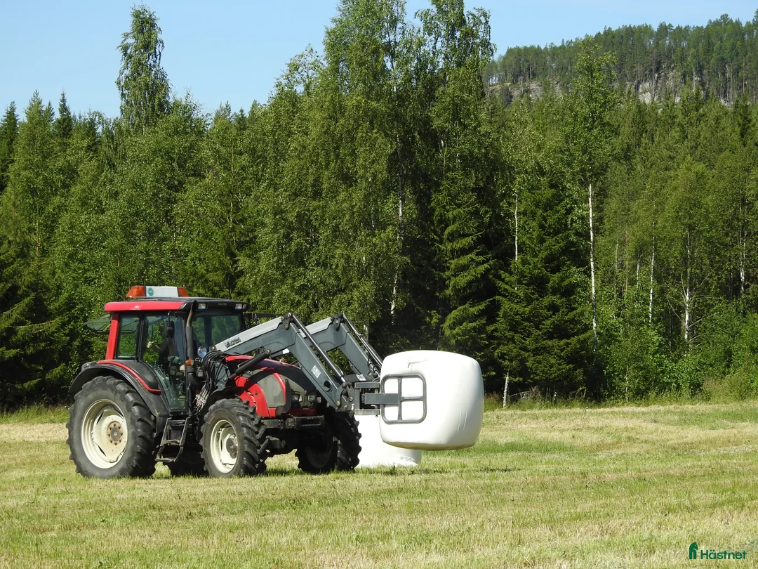 Stallinredning, stängsel & gård övrig utrustning till salu: Hösilage, balat häst-hö. Analyserat. - Annons 1