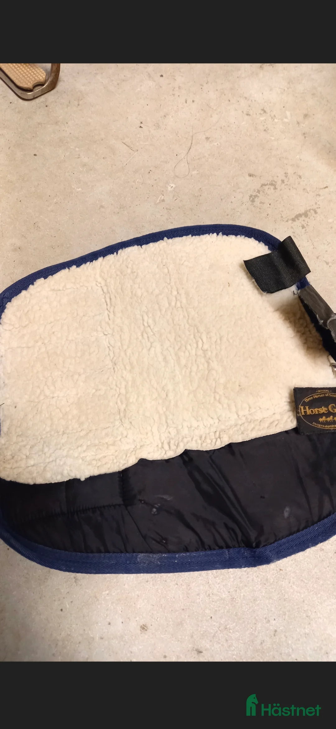 Benskydd hästutrustning till salu: Transportskydd - Annons 2