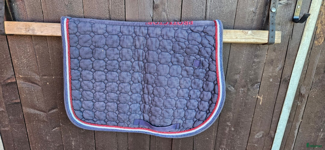 Övrig Hästutrustning hästutrustning till salu: Massa ponny saker i Vingåker - Annons 1