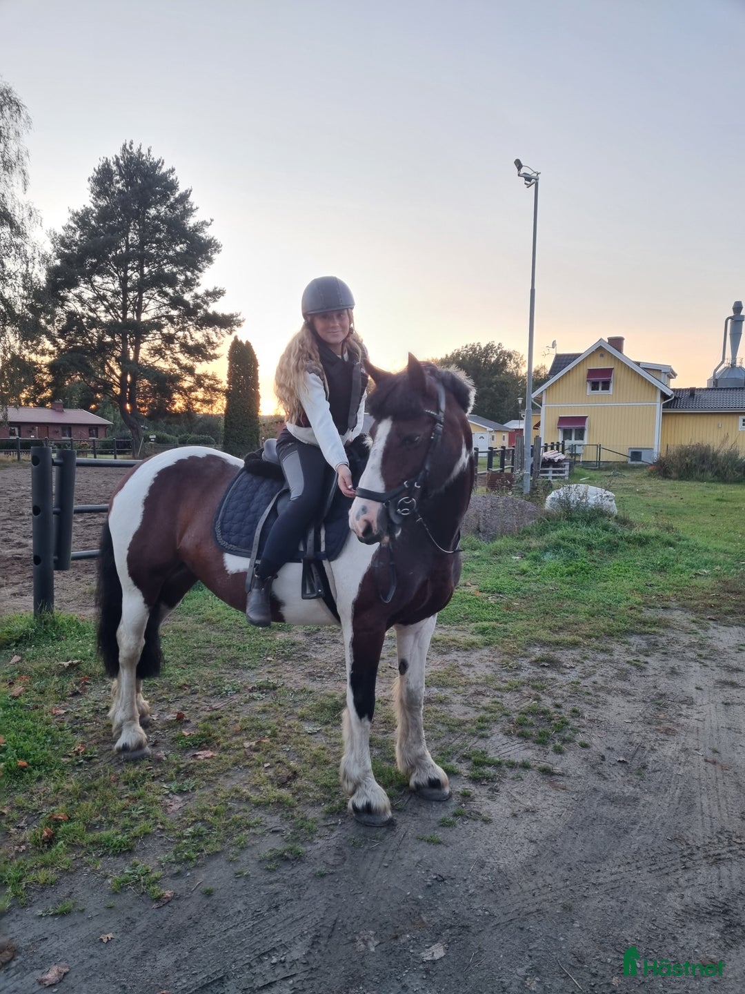  medryttarhäst finnes: Medryttare sökes  i Skövde - Annons 2