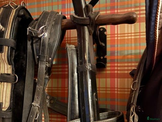 Körselar körning till salu: Loksele i Södertälje - Annons 1