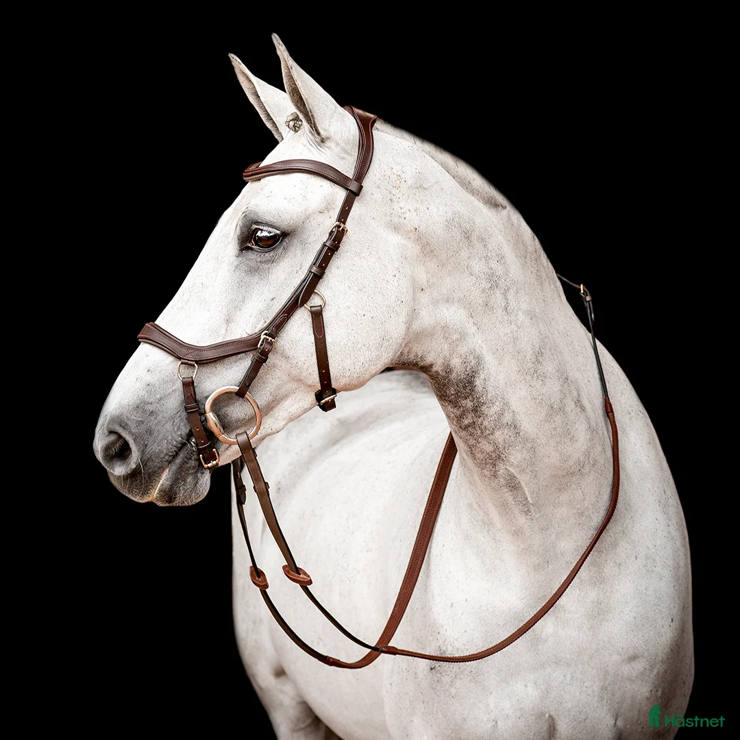 Träns hästutrustning till salu: Micklem träns - Annons 1