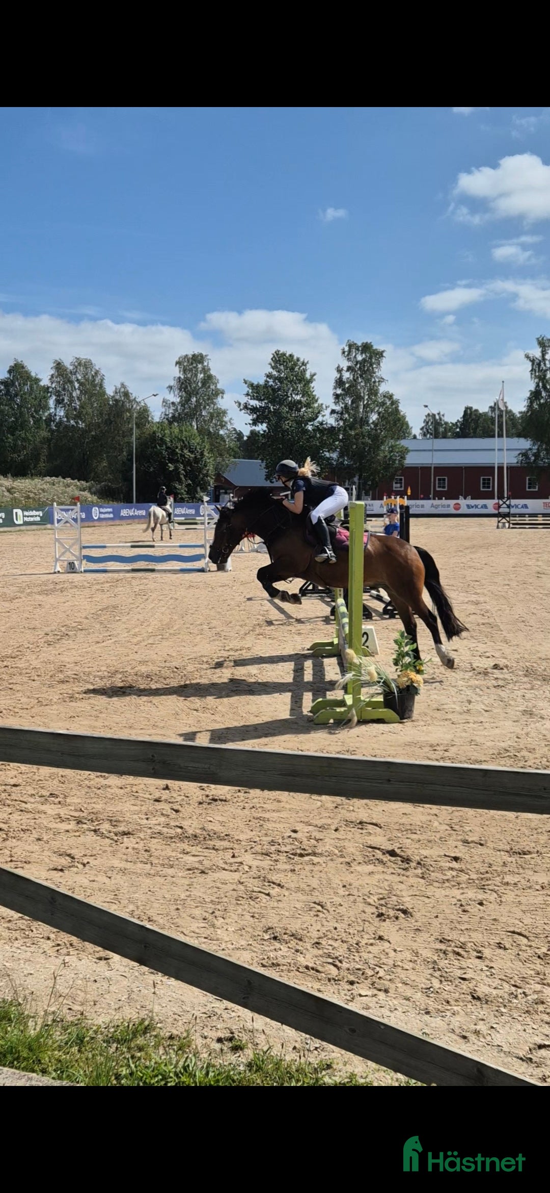 Hoppning hästar till salu: Trevlig Allroundponny  i Landsbro - Annons 4