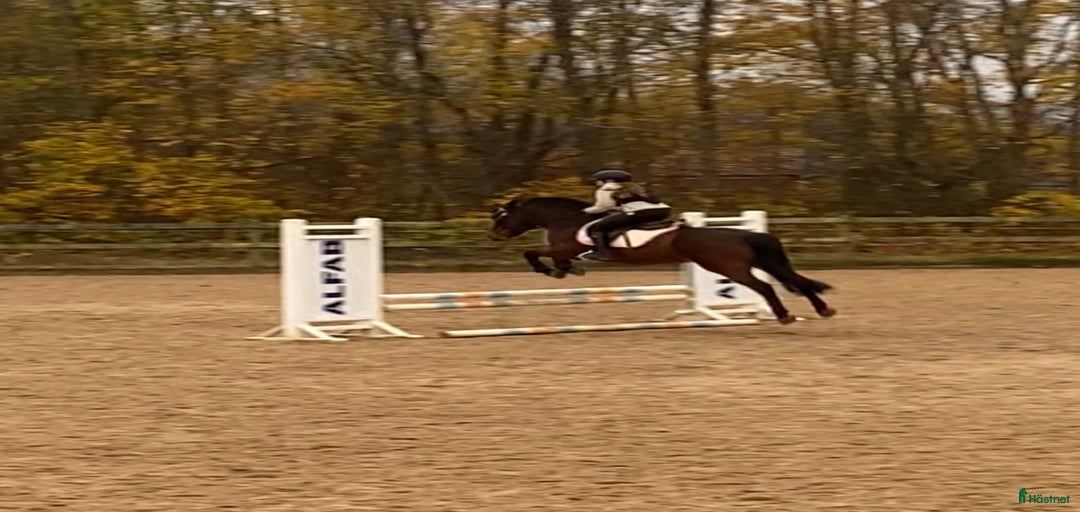 Galleribild {{count}}