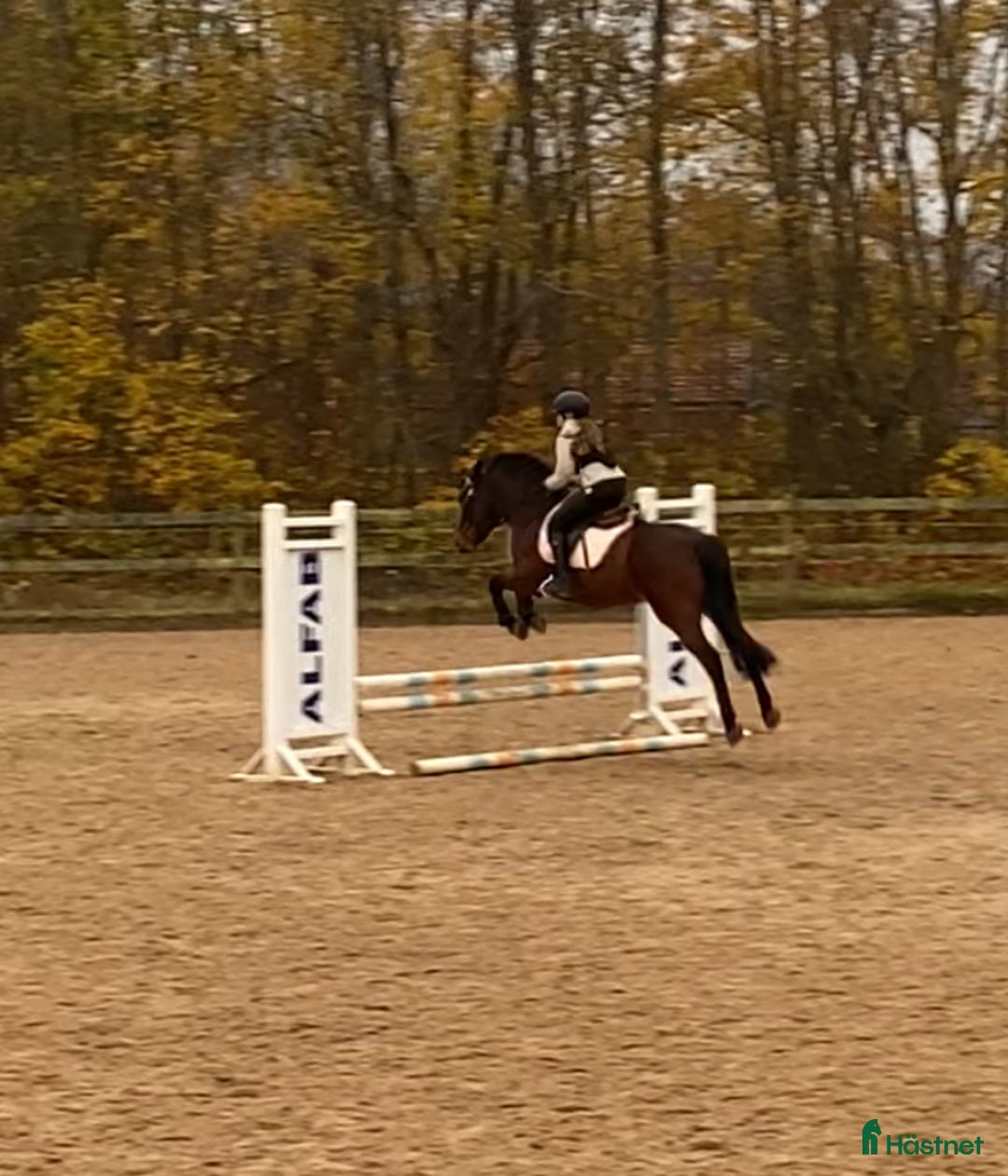 Galleribild {{count}}