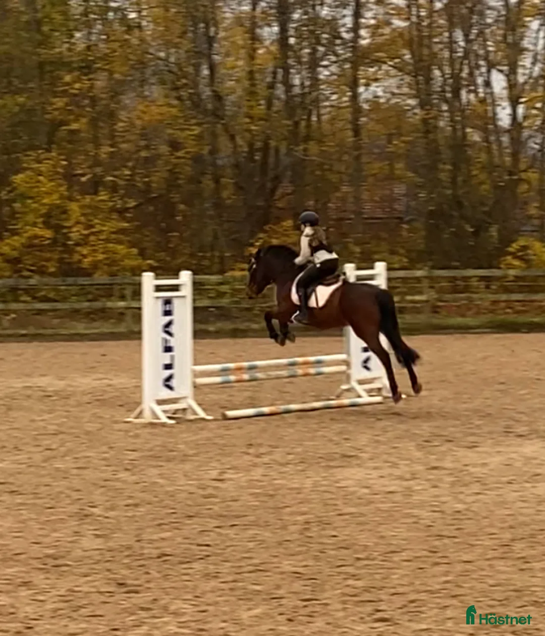 Galleribild {{count}}