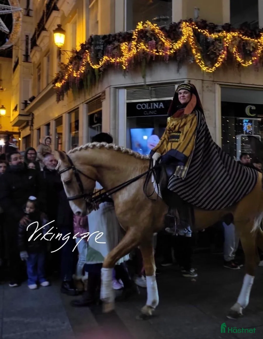 Working Equitation hästar till salu: Välskolad kvalitets PSLusitano  i Halmstad - Annons 2