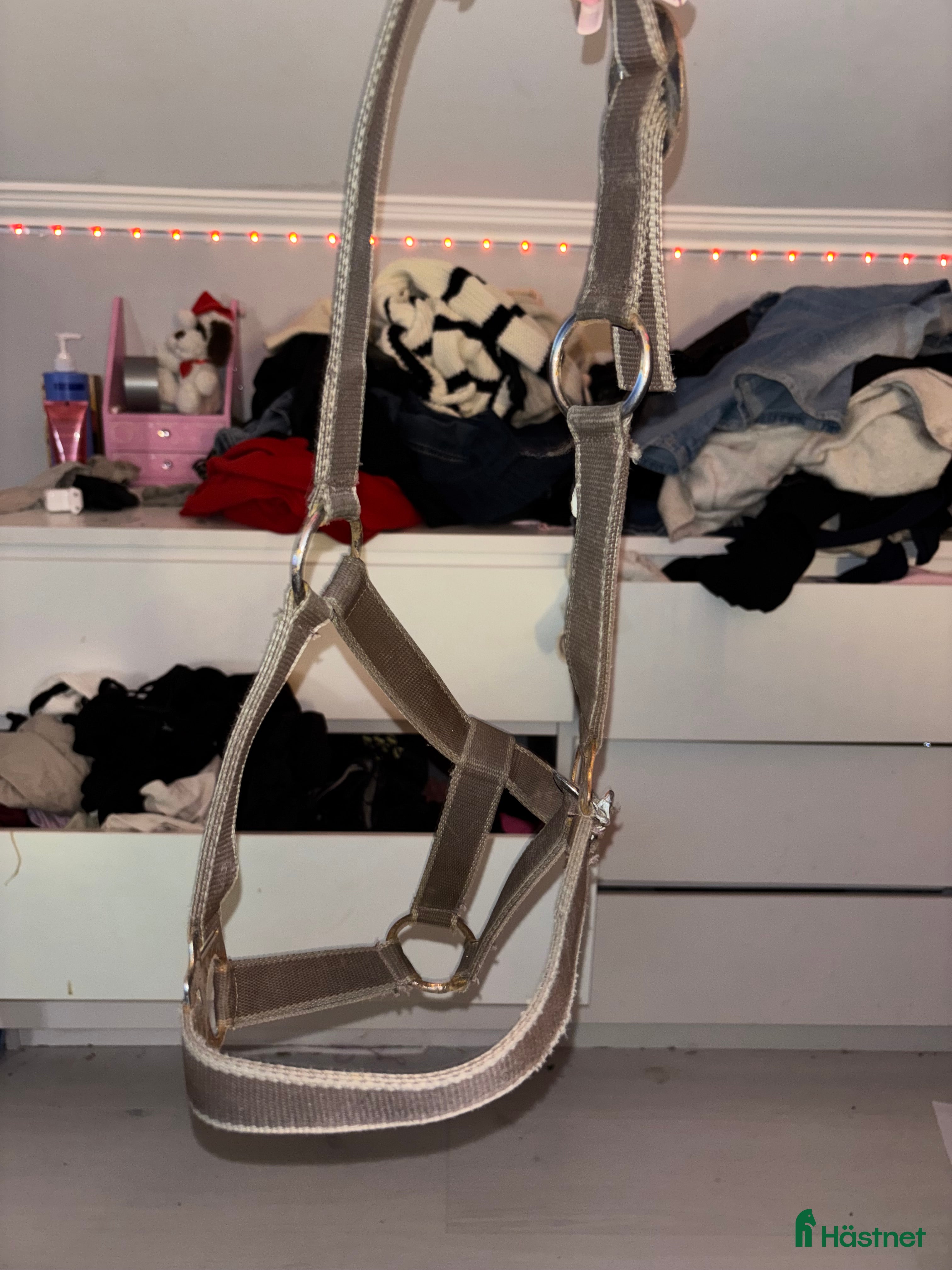 Övrig Hästutrustning hästutrustning till salu: Grimma i Fristad - Annons 2