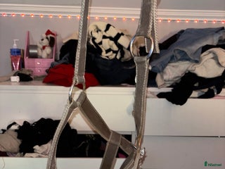 Övrig Hästutrustning hästutrustning till salu i Fristad - Annons 26