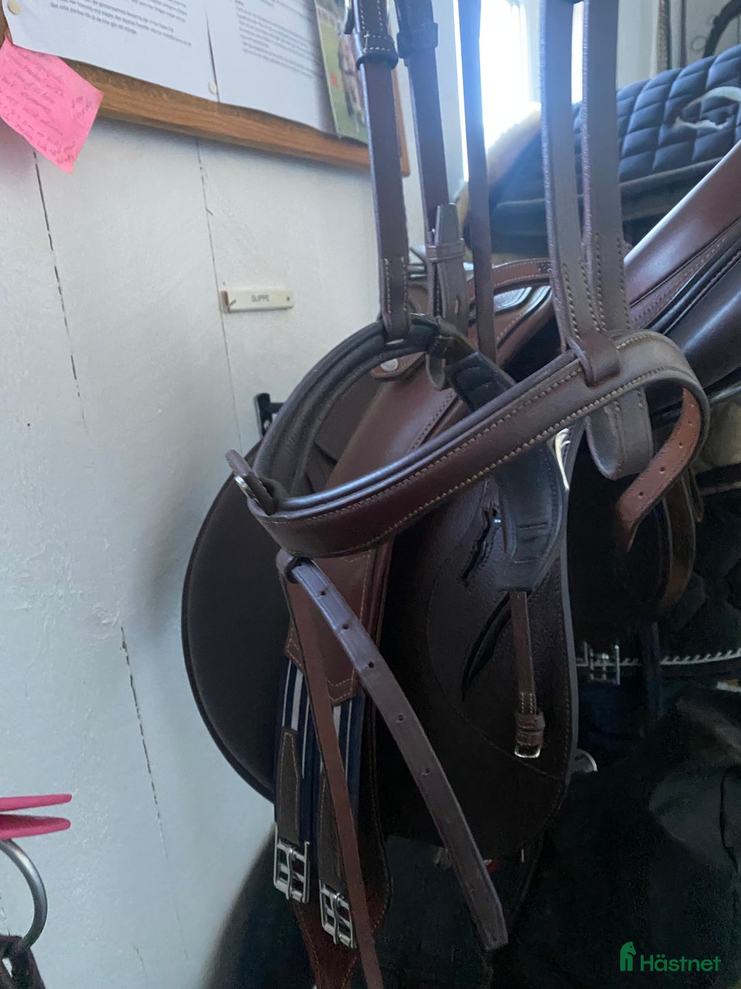 Träns hästutrustning till salu: Antarés nackstycke + nosgrimma  - Annons 7