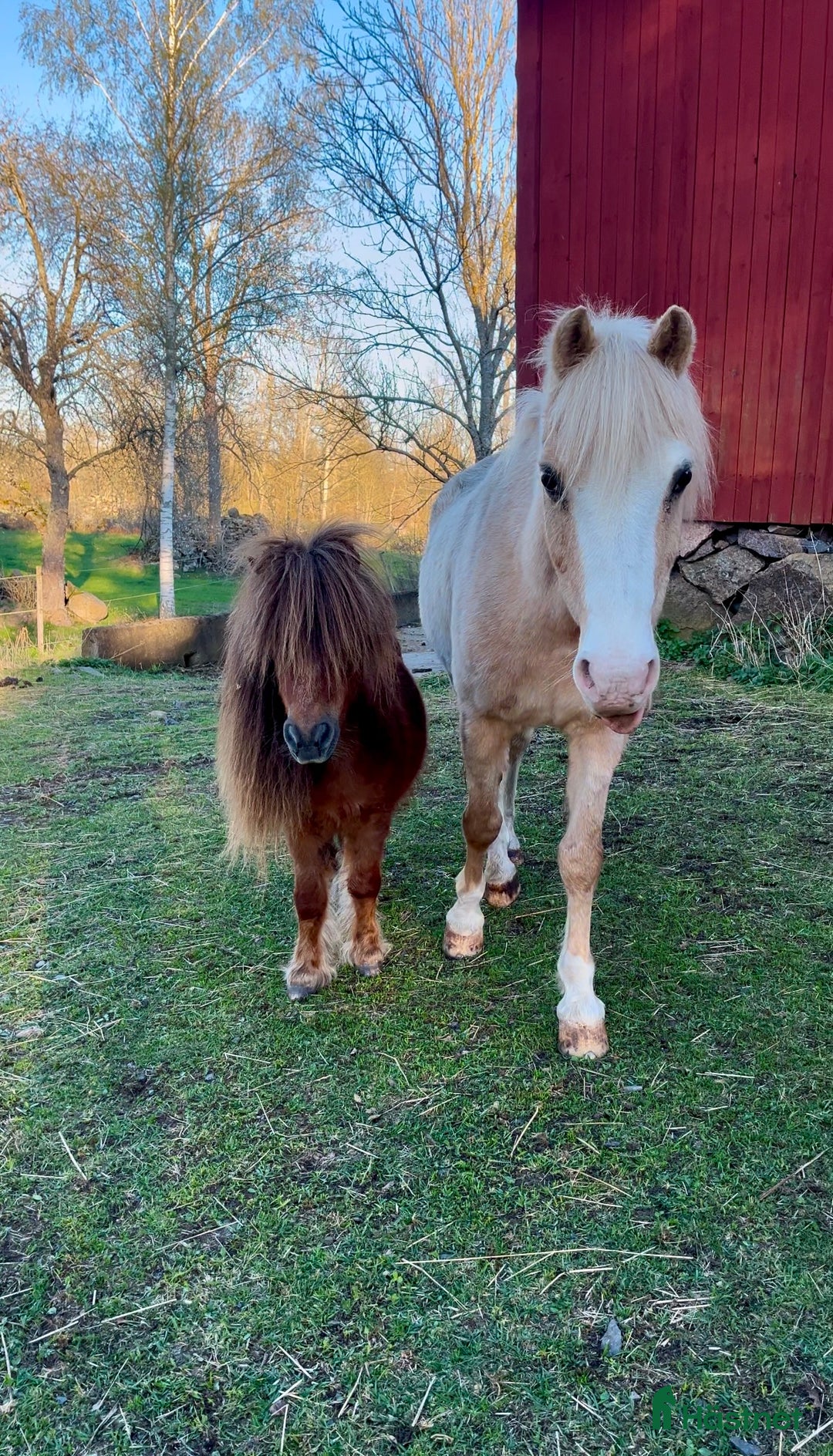  stallplats finnes: Stallplats i Oskarshamn i Oskarshamn - Annons 3