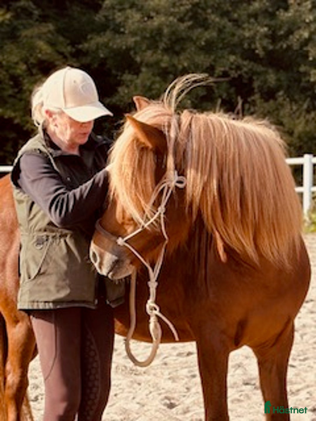 Island hästar till salu: Underbart ungsto! i Skepplanda - Annons 12