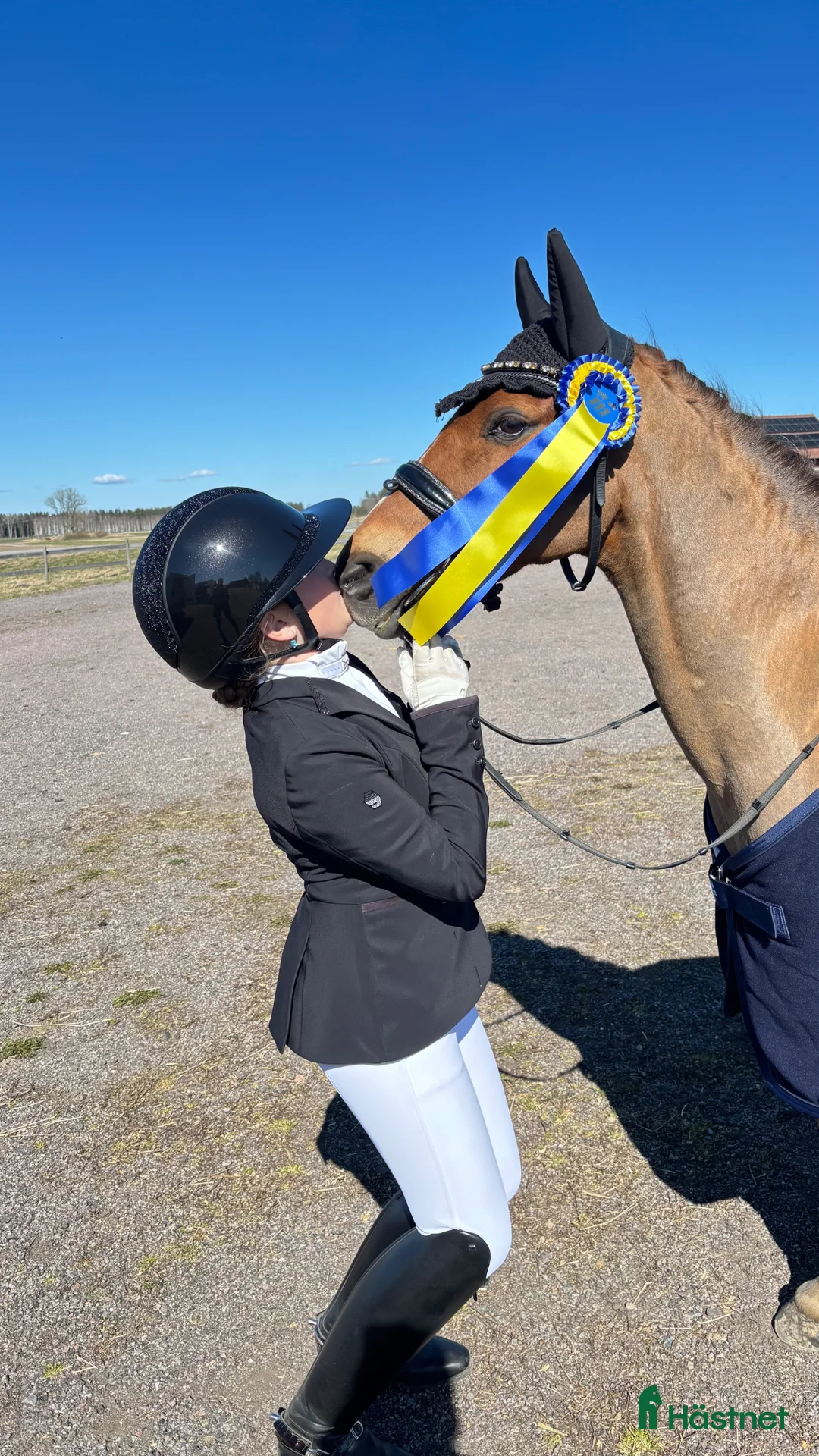 Dressyr hästar till salu: SM ponny och läromästare med stort ❤️ - Annons 2