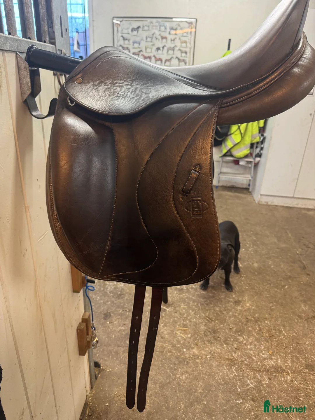 Sadlar hästutrustning till salu: Tolga dressyrsadel  - Annons 2