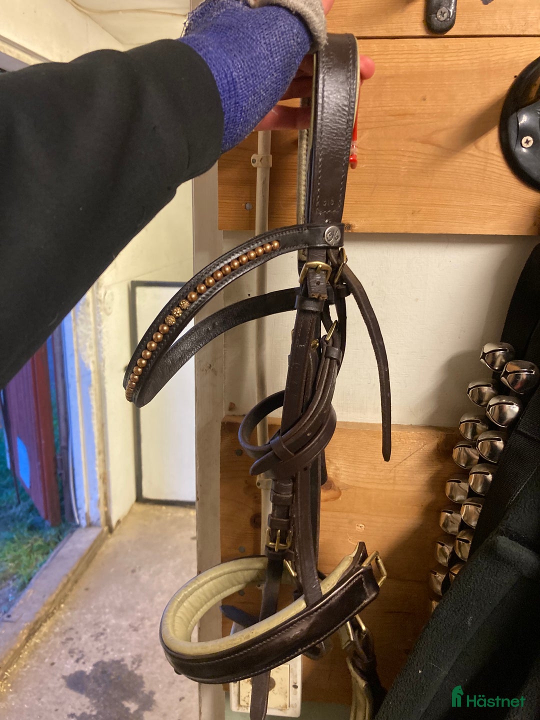 Träns hästutrustning till salu: Fint dressyr träns⚜️ i Alnö - Annons 1