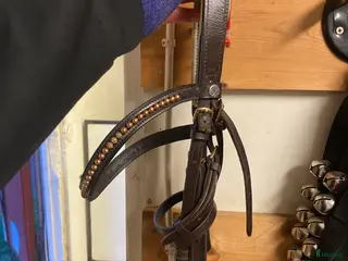 Träns hästutrustning till salu: Fint dressyr träns⚜️ i Alnö - Annons 3