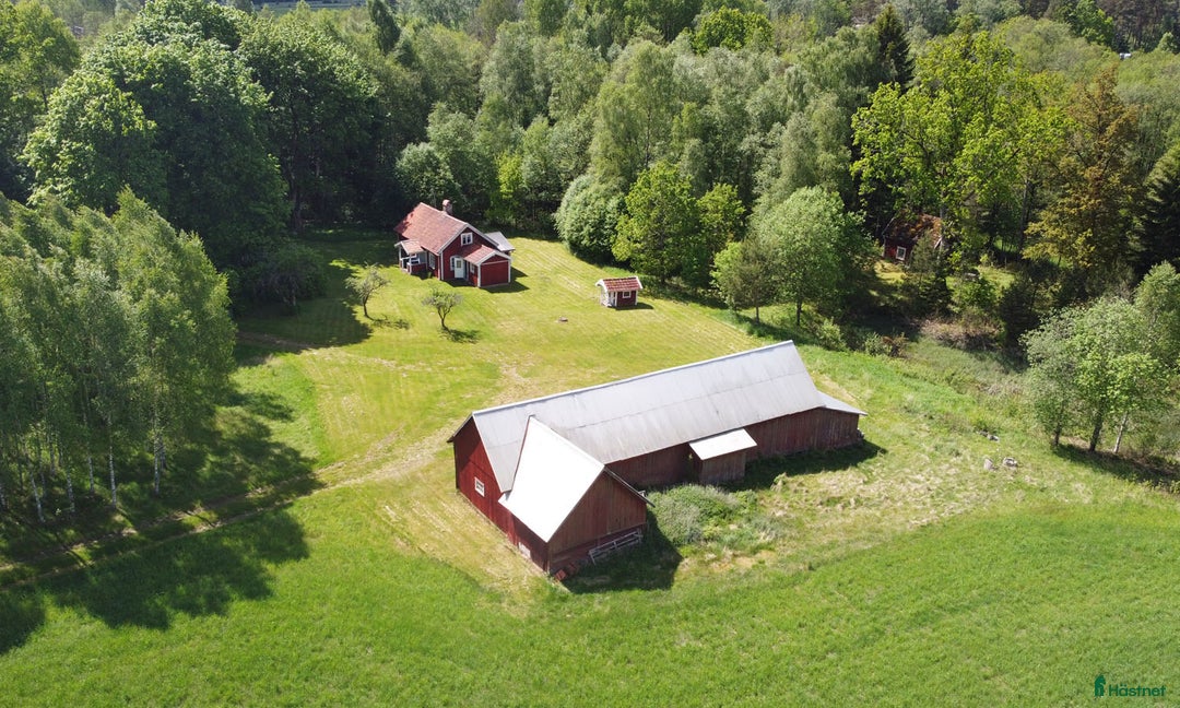  hästgårdar till salu: Genuin skogsgård i Ljungby - Bild 1