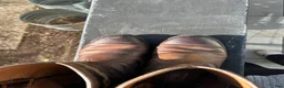 Ridstövlar ryttarutrustning till salu: Ariat Boots - Annons 3