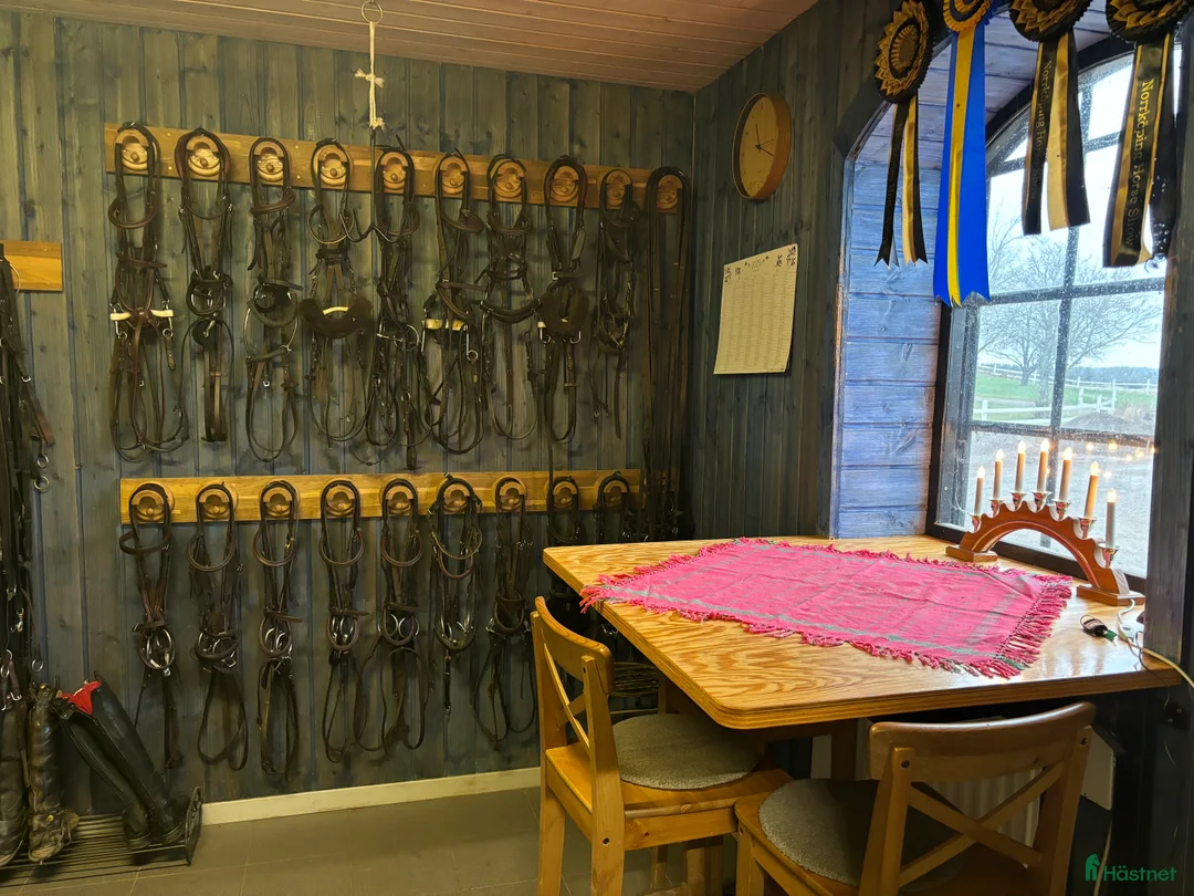  hästjobb finnes: Praktikplats - plats finns fr o m v 15 - Annons 4