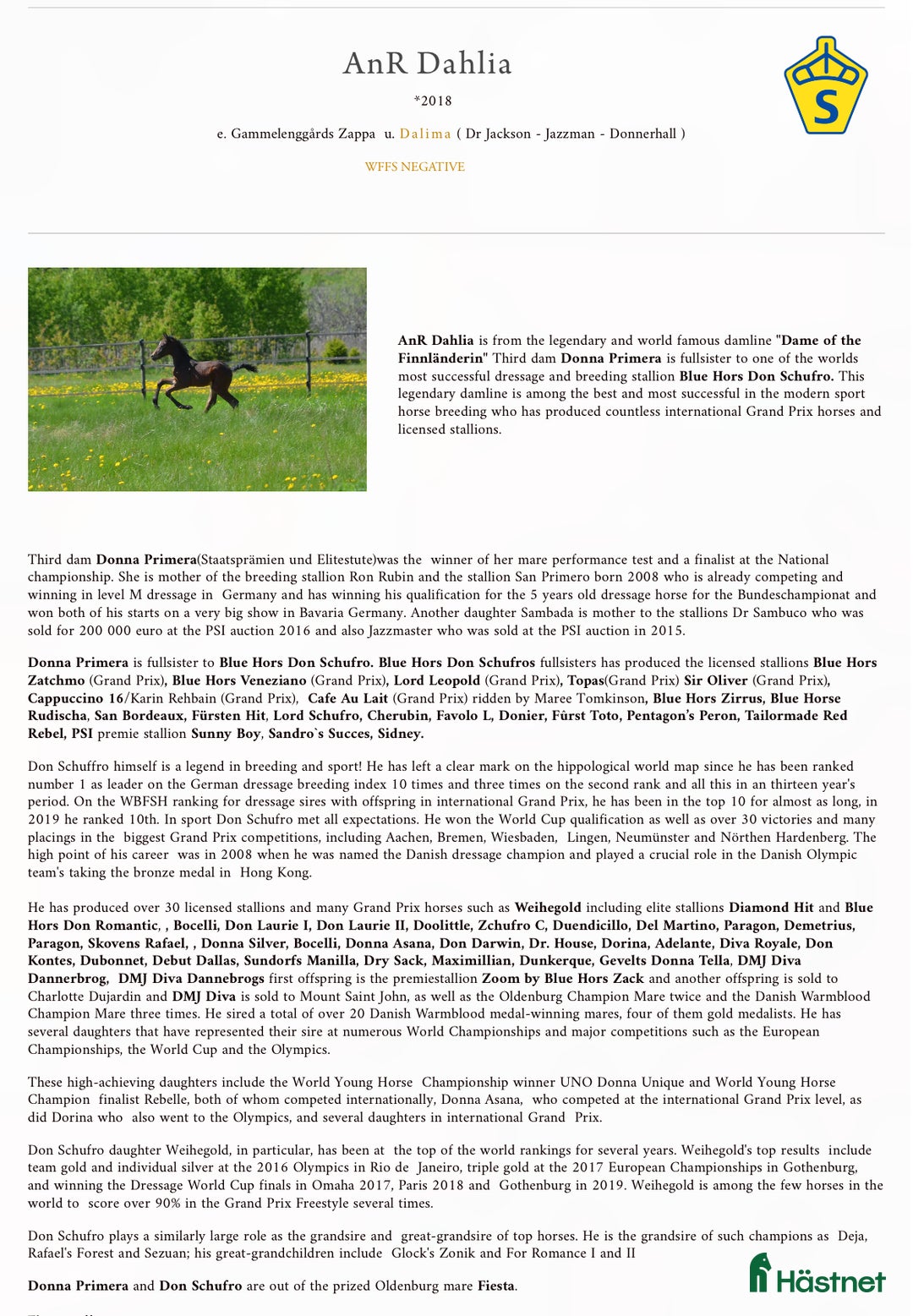 Dressyr hästar till salu: Ådö’s Dahlena ”Lena” i Sparreholm - Annons 4