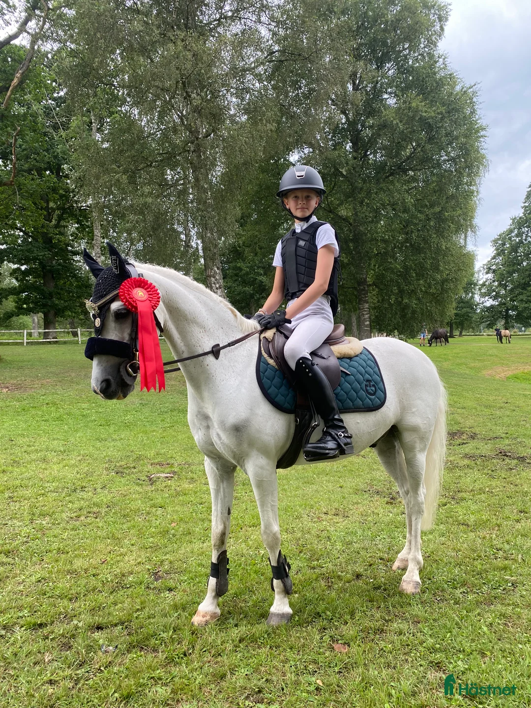 Hoppning hästar till salu: ⭐️Världens bästa ponny⭐️ i Källby - Annons 2